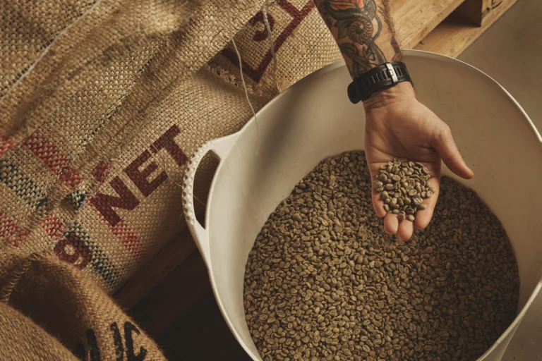 barista holds raw coffee beans
